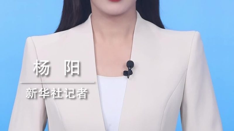 中小企业供应链管理的数字化转型：挑战与机遇